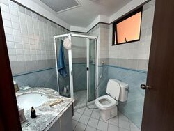 Dover Parkview (D5), Condominium #496306911